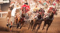 Calgary Stampede Evening Show:GMC Rangeland Derby and Grandstand Show in Calgary promo photo for Stampede presale offer code
