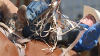 Calgary Stampede Rodeo