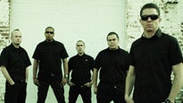 The Aggrolites