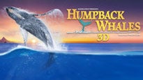 Humpback Whales presale information on freepresalepasswords.com