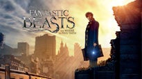 Fantastic Beasts and Where to Find Them: The IMAX Exp, Rated PG-13 presale information on freepresalepasswords.com