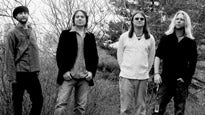 Devon Allman's Honeytribe