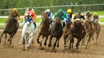 Pechanga Off Track Betting Breeders Cup 2017 presale information on freepresalepasswords.com