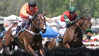 Atlanta Steeplechase
