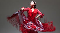 Herencia Flamenca presale information on freepresalepasswords.com