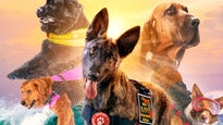Superpower Dogs 3D presale information on freepresalepasswords.com