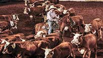 Oklahoma Cattlemen&#039;s Assn. Ranch Rodeo presale information on freepresalepasswords.com