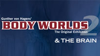 Body Worlds 2 & the Brain
