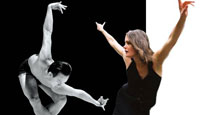 White Bird Uncaged: Tere Mathern and Minh Tran
