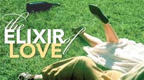 Elixir of Love
