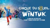 Cirque du Soleil : Wintuk