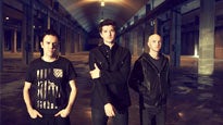 The Script