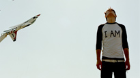 Owl City
