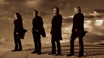 Eagles