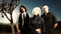 The Joy Formidable at Toads Place - CT