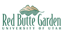 Red Butte