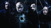 Disturbed