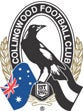 Collingwood FC