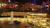 Bright Nights In Stanley Park&nbsp;Tickets