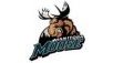 Manitoba Moose