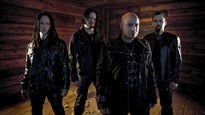 Disturbed