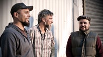 Trinity Roots