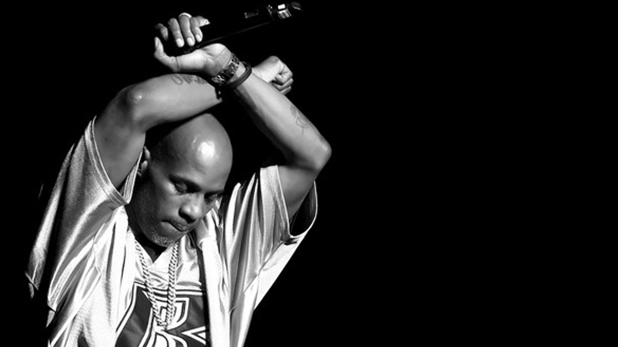 dmx 20
