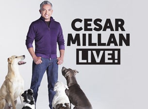 CESAR MILLAN LIVE!