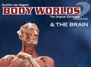 Body Worlds 2 & the Brain&nbsp;Tickets