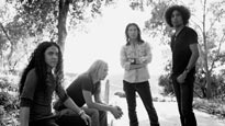 Alice In Chains - BlackDiamondSkye password for concert tickets.