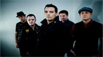 Street Dogs