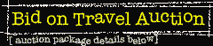 Bid on Travel Auction