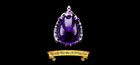 Amulet of Avalor!