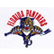 Florida Panthers Website
