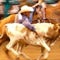 State Fair Rodeo Events