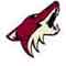 Coyotes Website