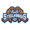 Youngstown SteelHounds