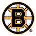 Bruins Website