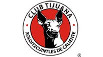 Xoloitzcuintles