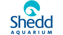 Shedd Aquarium&nbsp;Boletos