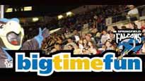Springfield Falcons&nbsp;Boletos