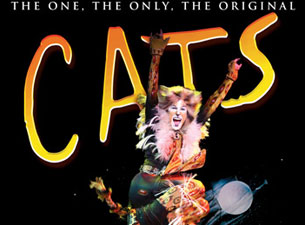 Cats&nbsp;Boletos