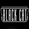 For more information about the Black Cat