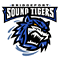 Bridgeport Soundtigers