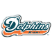 Miami Dolphins