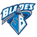 Blades Web Site