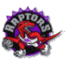 Raptors Web Site