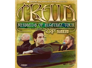 Train - Artist