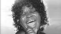 Koko Taylor&nbsp;Tickets