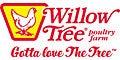 Willow Tree